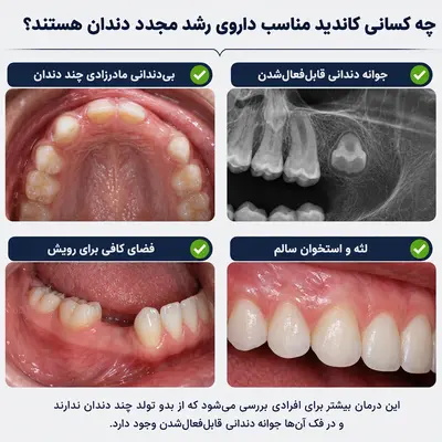 کاندیدای داروی رویش مجدد دندان